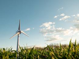 autonomie énergétique bois