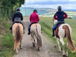 camping ferme bretagne jeu grandeur nature